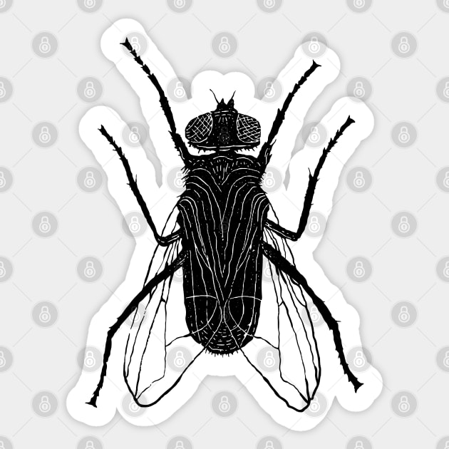 I Am The Fly Sticker by LadyMorgan